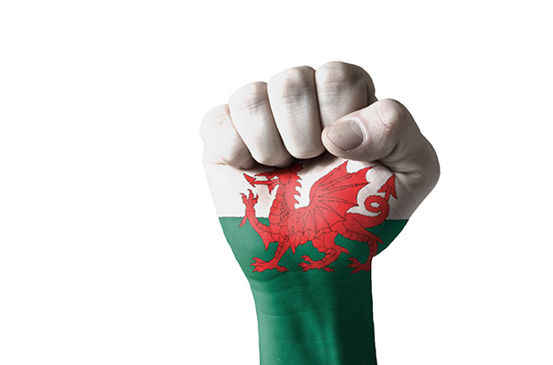 The Welsh dragon goes green – Intellectual Property Office blog