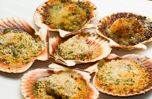 scallops-blog