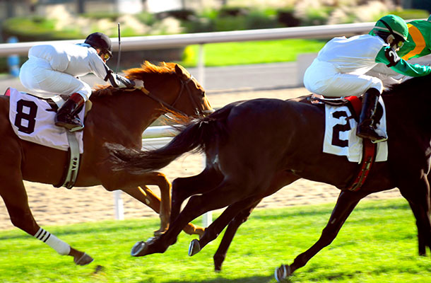 Image of horse racing, two horses and two jockeys.