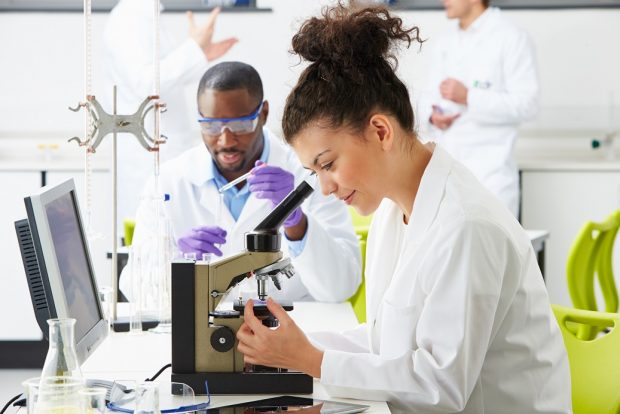 Technicians doing research in laboratory