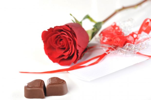 A red rose with two heart shaped chocolates