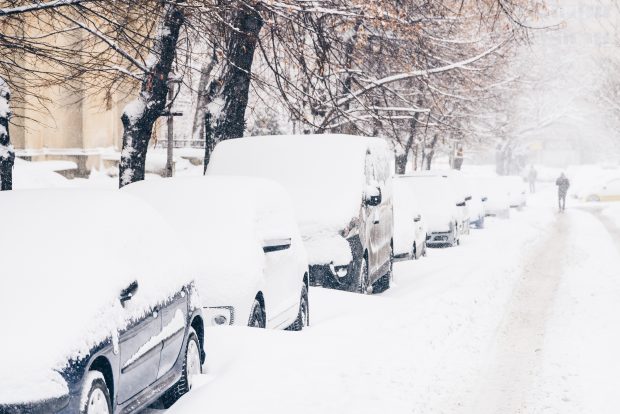 cars covered in snow