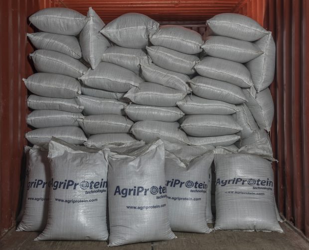 Bags of AgriProtein 