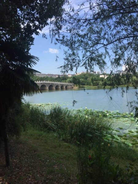 Lake in Zhongnan University of Economics and Law (ZUEL)