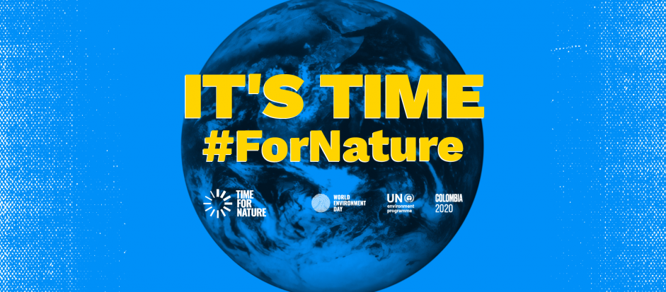 The words IT'S TIME in capital yellow letters with the hashtag For Nature underneath and a list of organisations involved. This is set in front of a blue image of Earth.