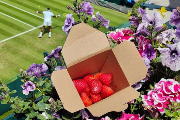 A picture of a box of strawberries in a bed of flowers with a tennis player in the background