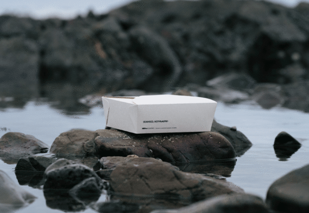 Notpla packaging placed on a rock in the middle of a rockpool.