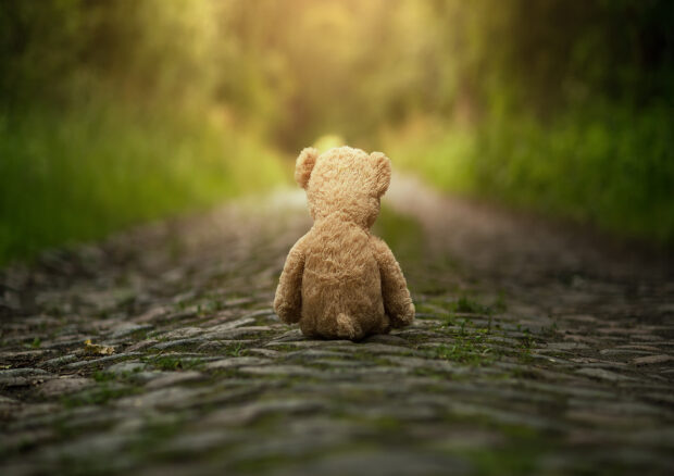 Teddy bear sat on the floor of a forest with its back to the camera