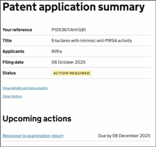 An example of how our 'Patent application summary' page will look on the new digital systems.